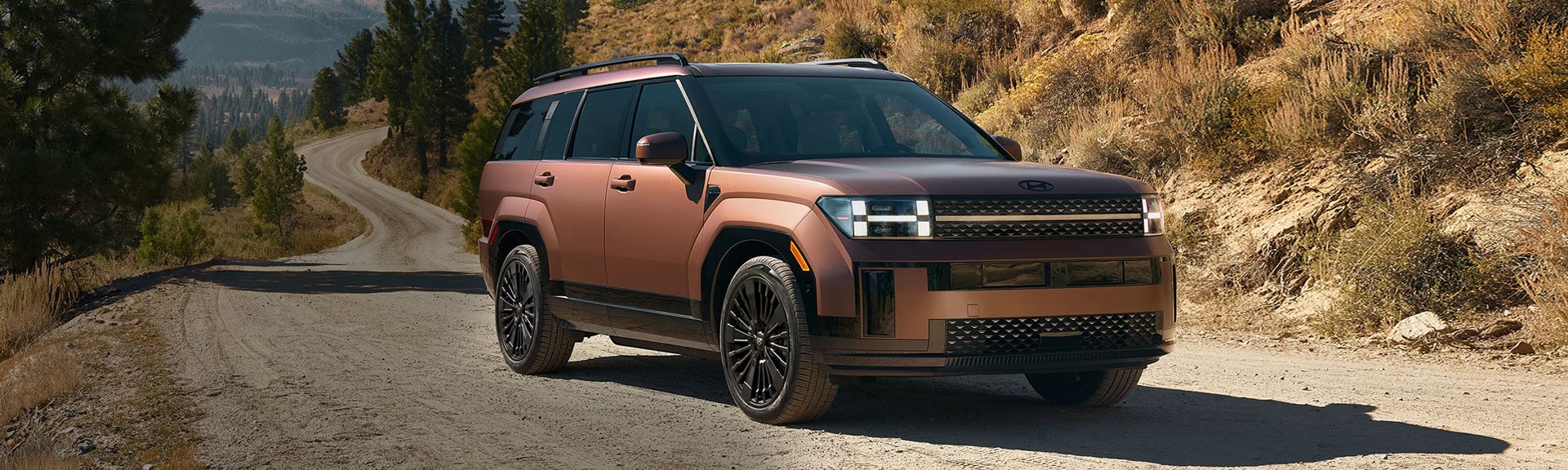SANTA FE HYBRIDE 2025
