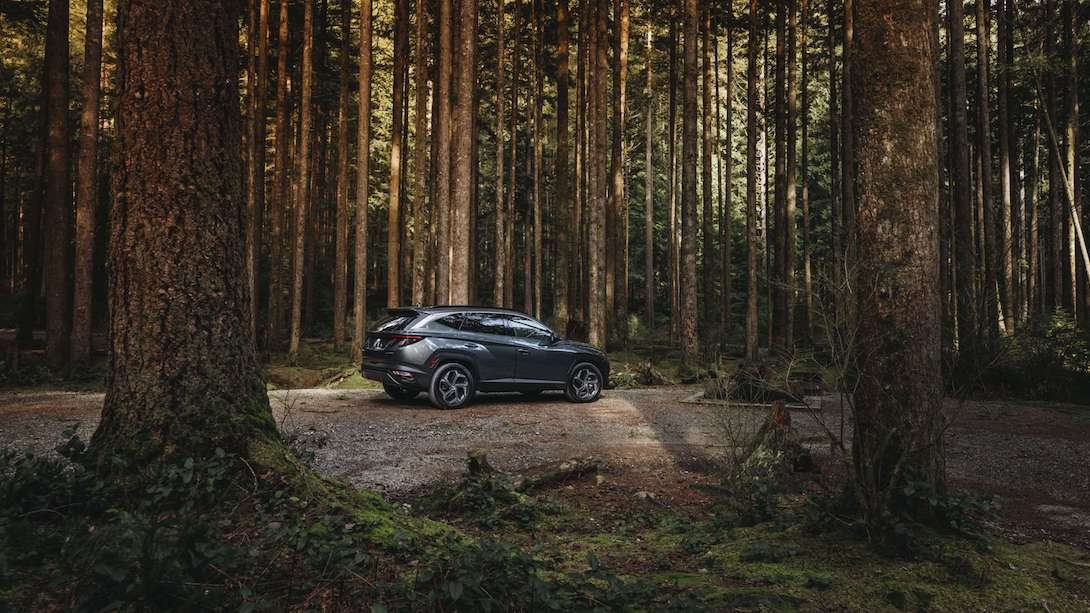 vue latérale arrière du Hyundai Tucson 2022 stationné en forêt